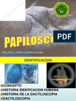 Diapositivas Palmatos