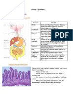 Human Physiology Notes