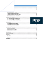 Informe Nº7 CROMATOGRAFIA