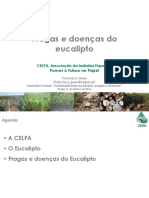 Pragas e Doenças Do Eucalipto