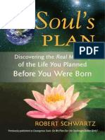 A Your Soul's Plan Book Excerpt