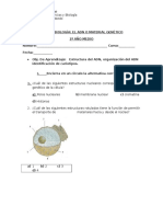 Prueba Biologìa. 2ºmedio