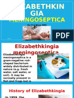 Elizabethkingia Meningoseptica An Emerging Infection by Dr.T.V.Rao MD