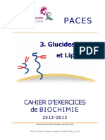 3 Glucides Et Lipides 2012 13