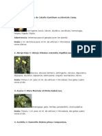 Dosis de Tinturas para Microdosis