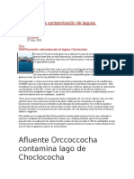 DREM Permite Contaminación de Laguna Choclococha