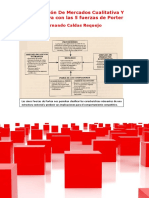 Investigación de Mercados Cualitativa Y Cuantitativa Con Las 5 Fuerzas de Porter