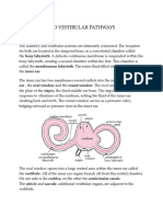 Auditory and Vestibular Pathways