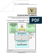 07 Impacto Ambiental Ponton San Ramon