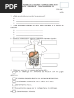 Examen de Ciencia y Ambiente 5to de Primaria Primera Unidad. Imprimir