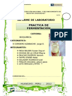 Informe de Fermentacion