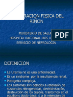 3.exploracion Fisica Del Riñon