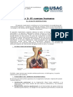 Clase 5 Taller Cuerpo Humano