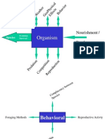 Modeling System Concept