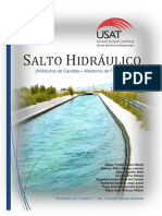 Salto Hidráulico