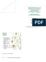 Field Identification of The 50 Most Common Plant Families in Temperate Regions-Bklt