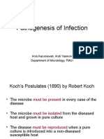 Pathogenesis of Infection