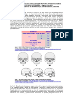 Patron de Fracturas Faciales Patrones Lefort