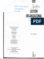 Dario Rodriguez - Gestion Organizacional