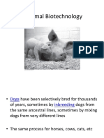 Animal Biotechnology