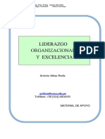 Manual Liderazgo Organizacion y Competencias