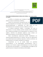 Breve Explicación PNIE y PI