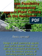 Business Feasibility For Ornamental Aquatic Plant Culture in The Northeast