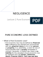 Lecture 2 Pure Economic Loss