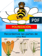 Polinización