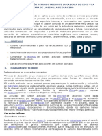 Obtención Del Carbón Activado Mediante La Cascara de Coco y La Cascara de La Semilla de Durazno