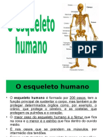 O Esqueleto Humano Alunos