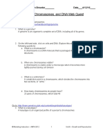 03 Genome Chromosome and Dna Webquest