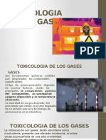 Intoxicacion Por Gases