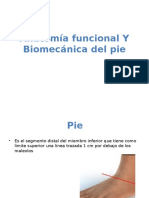 Anatomia Funcional Del Pie