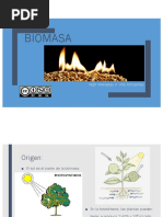 TLYA Biomasa-Generalidades