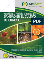 Citricos