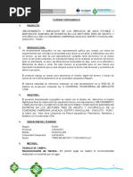 Informe Técnico de Topografia