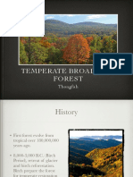 Temperate Forest-3