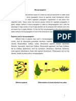 Propagation. in Nature, Clonal Propagation Occurs by Apomixis (Seed Development Without