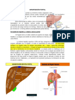 Hipertensión Portal