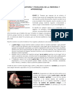 Anatomía y Fisiología de La Memoria y Aprendizaje