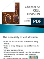 4 Science 2 RPK - Chap 5 Cell Division (Part 1)