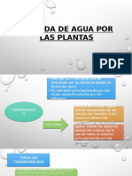 Perdida de Agua Por Las Plantas