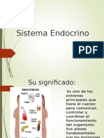 Sistema Endocrino