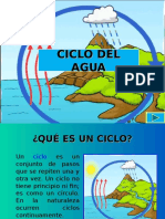 Ciclo Del Agua y Biogeoquimicos