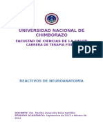 Cuestionario de Neuroanatomia