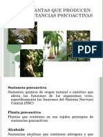 Plantas Sicoactivas 2012a