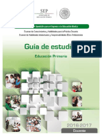 Docente Primaria