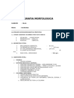 Esquema para Informe de Ecografia Morfológica