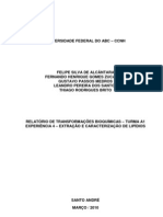 Relatório - Exp4 - Extração e Caracterização de Lípidios - Transformações Bioquimicas - Trim2.1